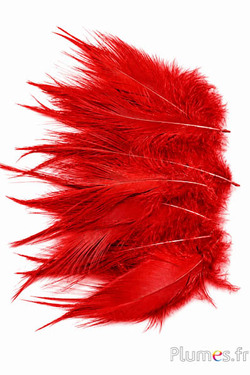 Kraanvogel - 12-14 cm - rood